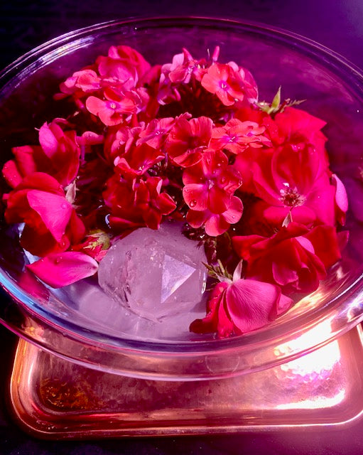 China Rose and Pink Phlox Essence