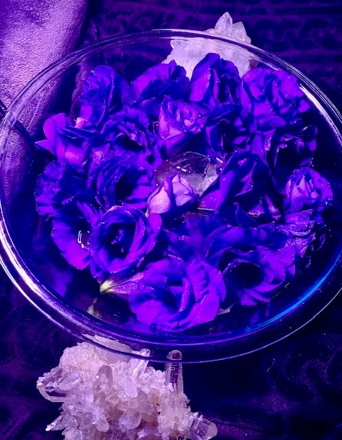 Purple Lisianthus, Apophyllite, & Quartz Essence